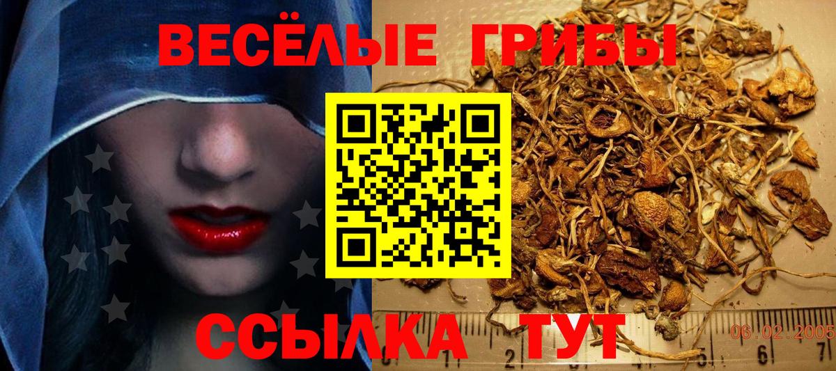 Псилоцибиновые грибы Psilocybe Семилуки