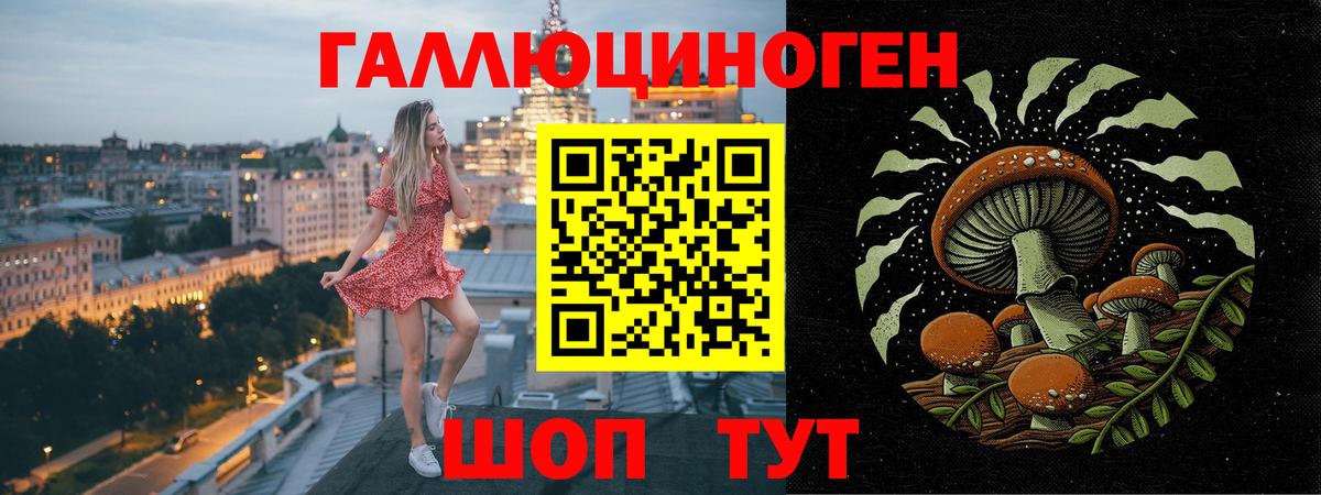Семилуки  Галлюциногенные грибы Psilocybe  Вход с VPN 